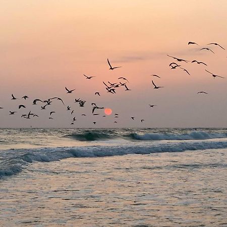 Lido Key Hideout With Patio And Yard And Walk To Beach! 사라소타 외부 사진